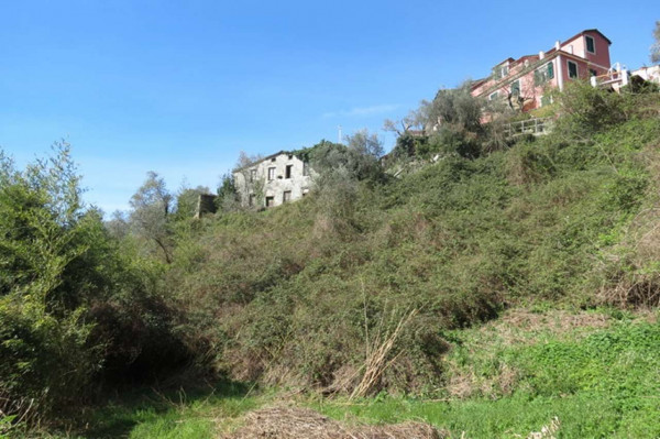 Rustico/Casale in vendita a Cogorno, Ruscalla, Con giardino, 3200 mq - Foto 20