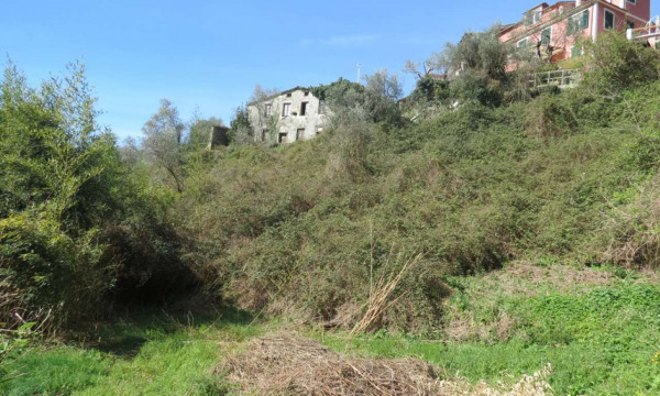 Rustico/Casale in vendita a Cogorno, Ruscalla, Con giardino, 3200 mq - Foto 17