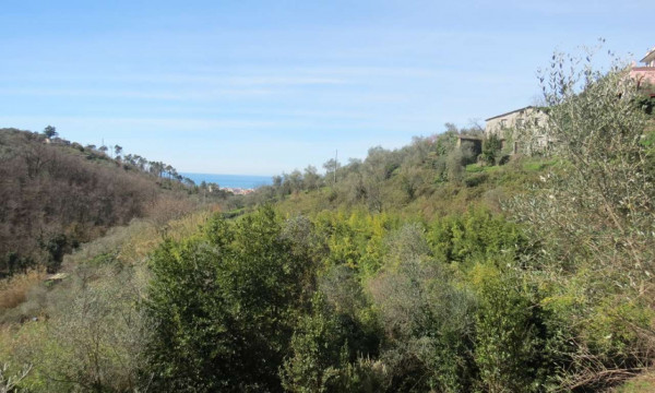 Rustico/Casale in vendita a Cogorno, Ruscalla, Con giardino, 3200 mq - Foto 16