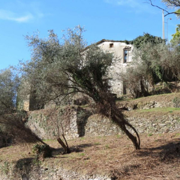 Rustico/Casale in vendita a Cogorno, Ruscalla, Con giardino, 3200 mq - Foto 30