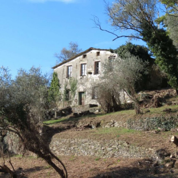 Rustico/Casale in vendita a Cogorno, Ruscalla, Con giardino, 3200 mq - Foto 31