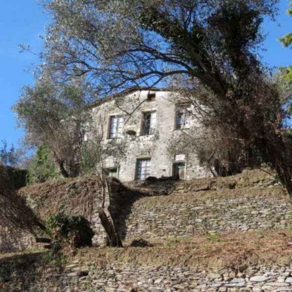 Rustico/Casale in vendita a Cogorno, Ruscalla, Con giardino, 3200 mq - Foto 29