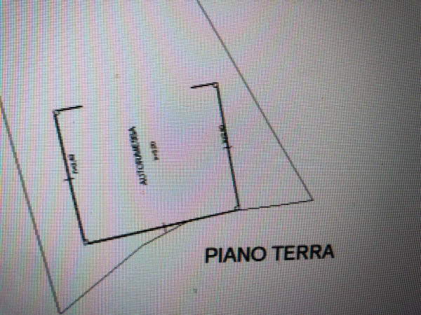 Villa in vendita a Torgiano, Signoria, Con giardino, 250 mq - Foto 4