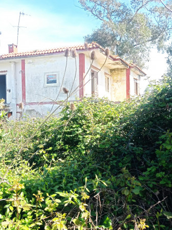 Rustico/Casale in vendita a Mondragone, Pescopagano, Con giardino, 200 mq - Foto 8
