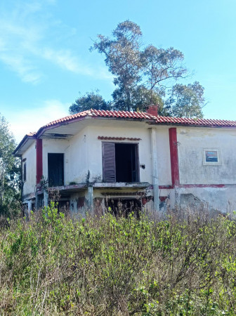 Rustico/Casale in vendita a Mondragone, Pescopagano, Con giardino, 200 mq - Foto 5