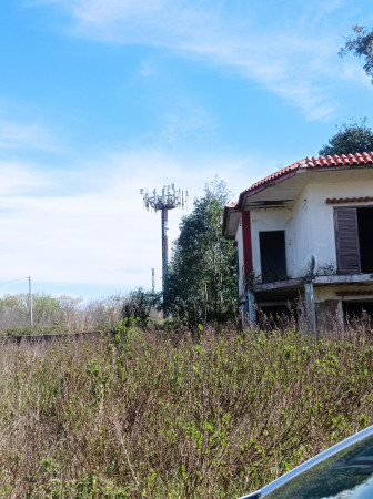 Rustico/Casale in vendita a Mondragone, Pescopagano, Con giardino, 200 mq - Foto 4